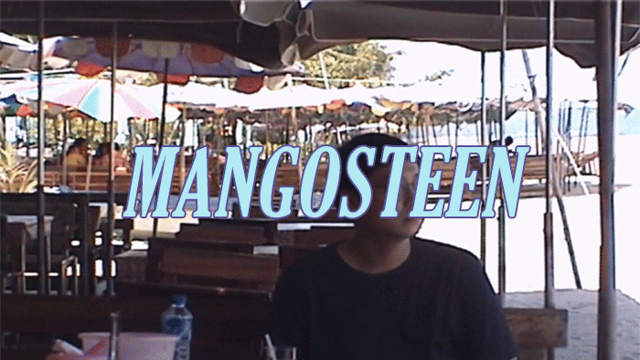 Mangosteen